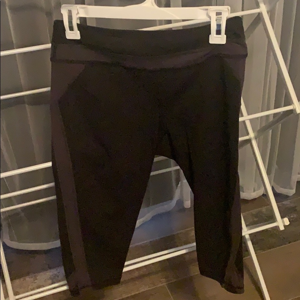 Workout crops